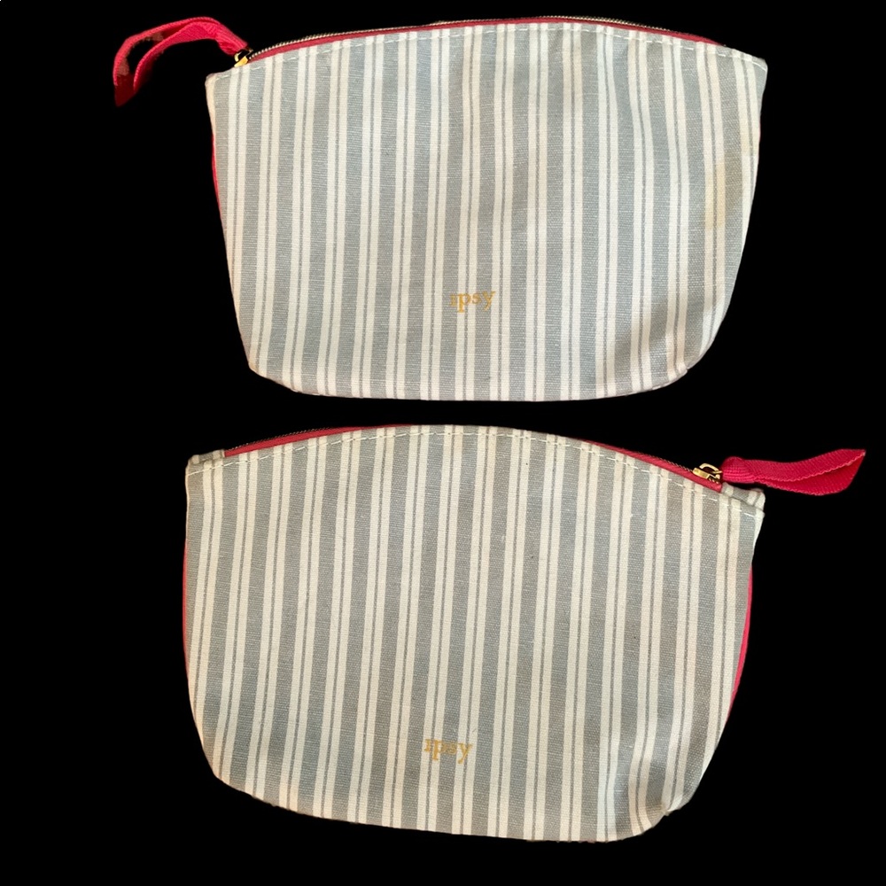 Ipsy Glam Bags - Stripes